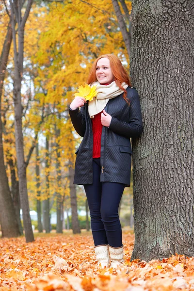 Girl in autumn forest keep leaves in the hands, stand near big tree — Stock Photo, Image