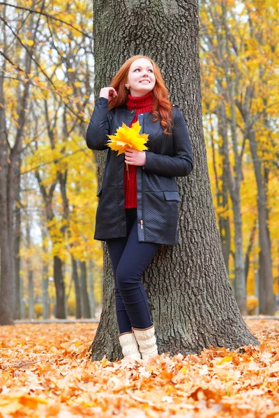 Dziewczyna w lesie jesienią zachować pozostawia w rękach, stanąć w pobliżu wielkie drzewo — Zdjęcie stockowe