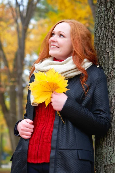 Portrét dívky s žluté listí v ruce v podzimním lese, nestavte velký strom — Stock fotografie