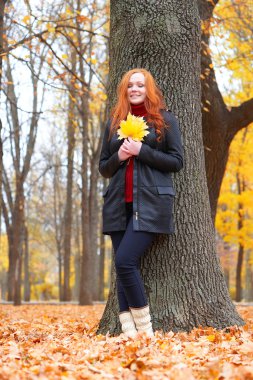 Kız sonbahar ormandaki yaprakları elinde tutmak, büyük ağacın yanında ayakta