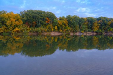 Akşamları renkli sonbahar ormanı manzarası. Nehir ve mavi gökyüzü yakınlarındaki ağaçlar.