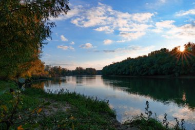Sonbahar manzarası, güzel gün batımı ve akşamları parlak renkli orman, nehir ve mavi gökyüzü yakınlarındaki ağaçlar.