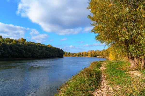 秋の風景 晴れた日の鮮やかなカラフルな森 川と青空の近くの木 — ストック写真
