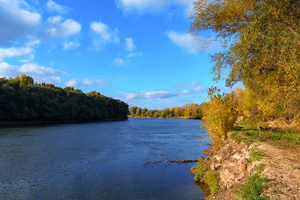 秋の風景 晴れた日の鮮やかなカラフルな森 川と青空の近くの木 — ストック写真