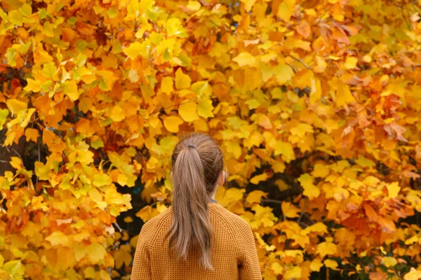 Dospívající Dívka Podzimním Městském Parku Při Pohledu Pozadí Žlutých Javorových — Stock fotografie