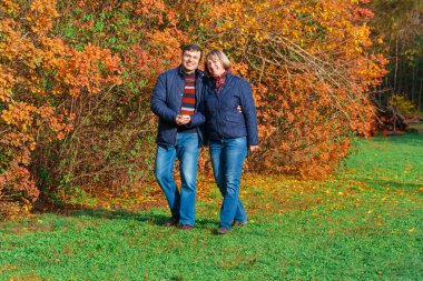 Sonbahar parkında yürüyen çift, birlikte mutlu insanlar, renkli yapraklı güzel doğa.