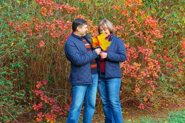 Sonbahar Parkında Poz Veren Çift Mutlu Insanlar Birlikte Güzel Doğa — Stok fotoğraf
