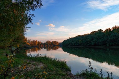 Sonbahar manzarası, güzel gün batımı ve akşamları parlak renkli orman, nehir ve mavi gökyüzü yakınlarındaki ağaçlar.