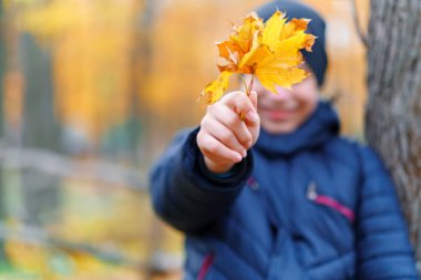 Tahta çitlerin yanında poz veren ve sonbaharı şehir parkında geçiren bir çocuk. Sarı yapraklı güzel bir doğa.