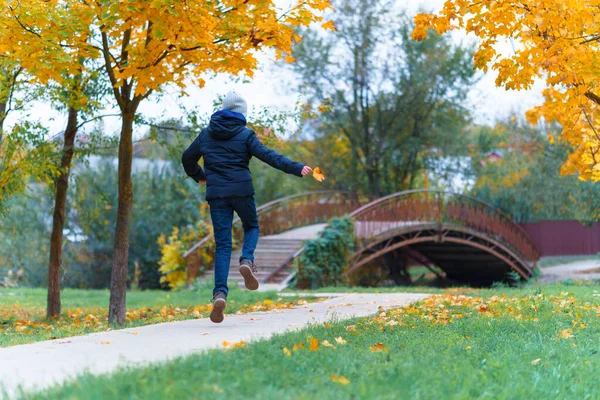 Uma Menina Caminha Longo Caminho Gosta Outono Maples Com Folhas — Fotografia de Stock