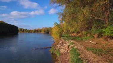 Güzel sonbahar manzarası, aydınlık güneşli bir gün ve orman, nehrin yanındaki ağaçlar ve mavi gökyüzü.