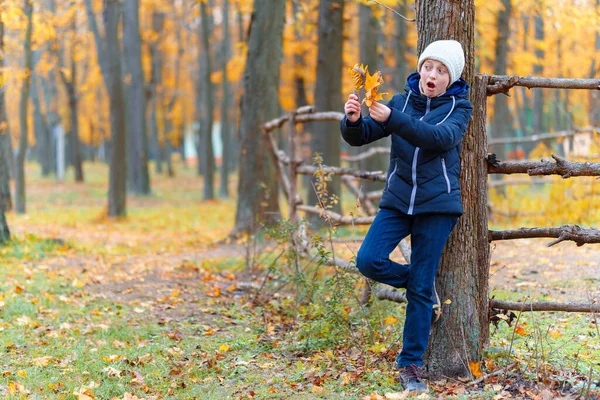 울타리 근처에 가을을 즐기는 소녀가 나뭇잎으로 아름다운 공원에서 — 스톡 사진