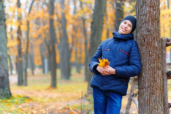 Мальчик Позирует Возле Деревянного Забора Наслаждается Осенью Городском Парке Красивая — стоковое фото
