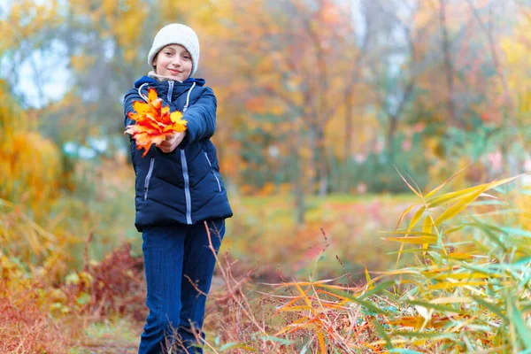 Ein Mädchen Posiert Flussnähe Und Genießt Den Herbst Schöne Natur — Stockfoto