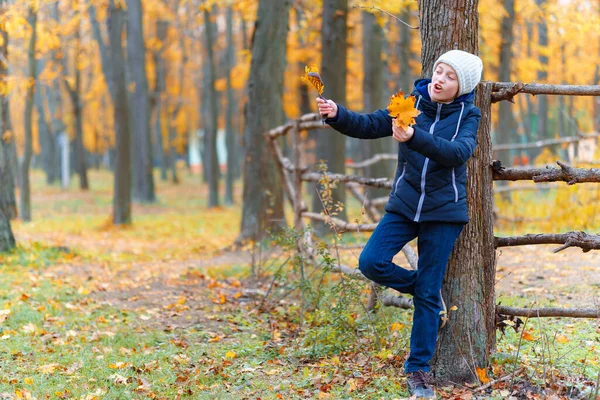 Girl Posing Wooden Fence Enjoys Autumn City Park Beautiful Nature — Stock Photo, Image
