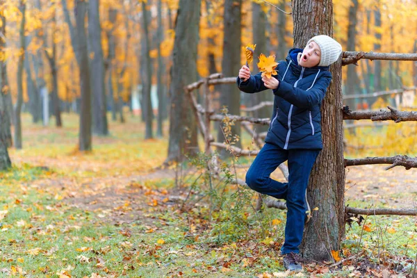 Dívka Pózuje Dřevěného Plotu Užívá Podzimu Městském Parku Krásné Přírody — Stock fotografie