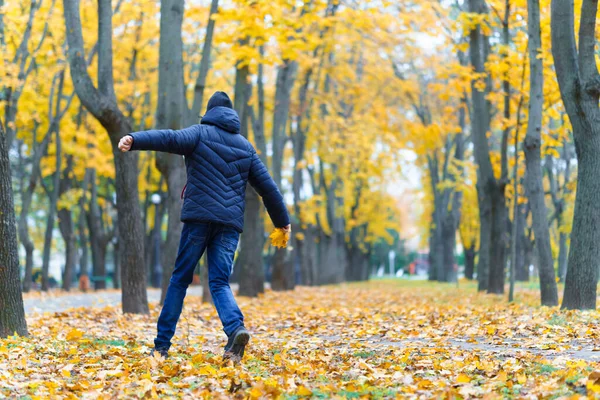 Chłopiec Biegnie Przez Park Cieszy Się Jesienią Piękna Przyroda Żółtymi — Zdjęcie stockowe