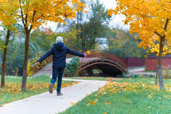 Uma Menina Caminha Longo Caminho Gosta Outono Maples Com Folhas — Fotografia de Stock