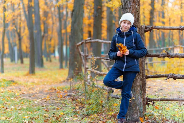 Девушка Позирует Деревянного Забора Наслаждается Осенью Городском Парке Красивой Природой — стоковое фото