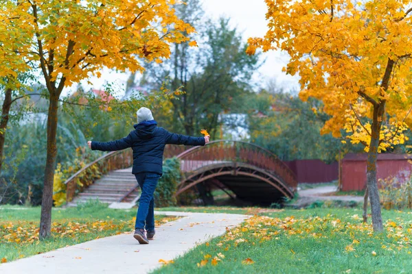 Uma Menina Caminha Longo Caminho Gosta Outono Maples Com Folhas — Fotografia de Stock