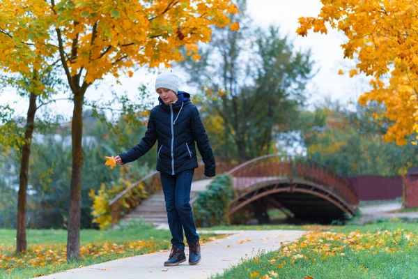 Dziewczyna Idzie Ścieżką Cieszy Się Jesienią Klony Żółtymi Liśćmi Most — Zdjęcie stockowe