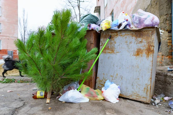 Ekoloji Konsepti Noel Ağacı Yeni Yıl Kutlamasından Sonra Çöplükte — Stok fotoğraf