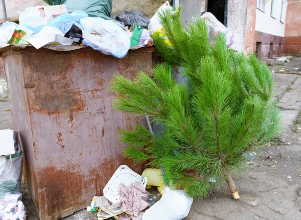 Ekoloji Konsepti Noel Ağacı Yeni Yıl Kutlamasından Sonra Çöplükte — Stok fotoğraf