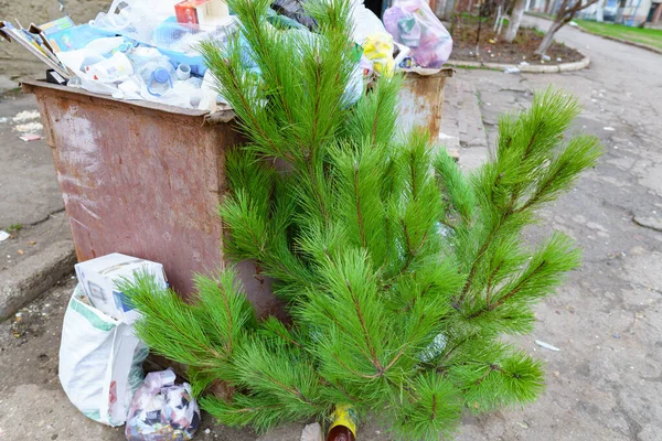 Concepto Ecología Árbol Navidad Contenedor Basura Después Celebración Del Año — Foto de Stock