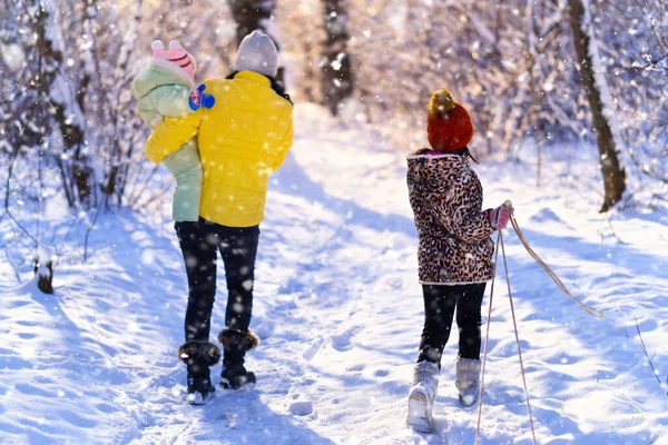 Passeggiate Famiglia Nella Foresta Invernale Madre Bambini Luce Solare Intensa — Foto Stock