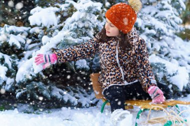 Kızakta oturan ve kış ormanlarında karla oynayan çocuk, parlak karlı köknar ağaçları, güzel doğa..
