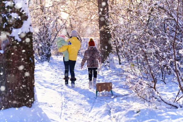 Promenades Famille Dans Forêt Hiver Mère Enfants Soleil Éclatant Ombres — Photo