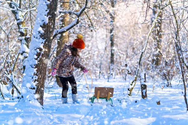 Дитяча Дівчина Гуляє Санчатами Зимовому Лісі Яскраве Сонячне Світло Тіні — стокове фото