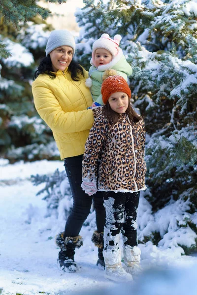 눈덮인 전나무 근처에 포즈를 취하고 어머니와 자녀들 아름다운 — 스톡 사진