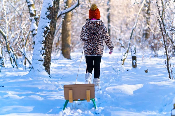 Enfant Fille Promenades Avec Luge Dans Forêt Hiver Lumière Soleil — Photo