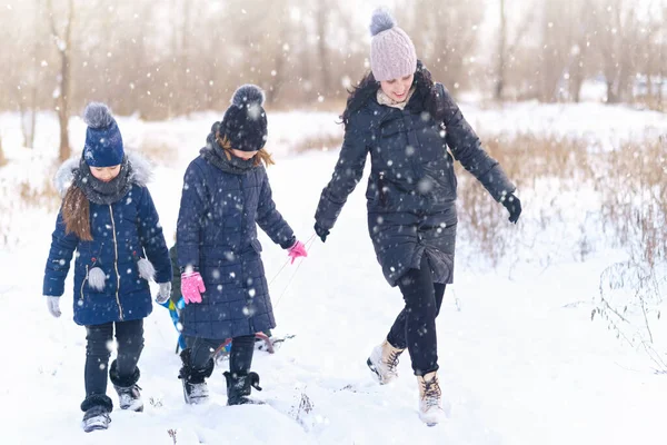 야외에서 가족이 놀이와 썰매타기 눈내리는 겨울에 어머니와 자녀들이 즐겁게 — 스톡 사진