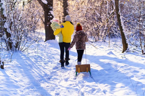 Promenades Famille Dans Forêt Hiver Mère Enfants Soleil Éclatant Ombres — Photo