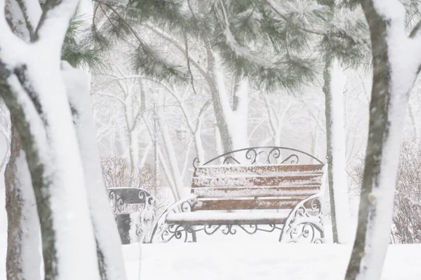 Winter City Park Benches Covered Snow Snowfall — Stock Photo, Image