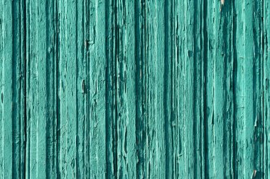 Eski ahşap arka plan. Yeşile boyanmış tahtalar.