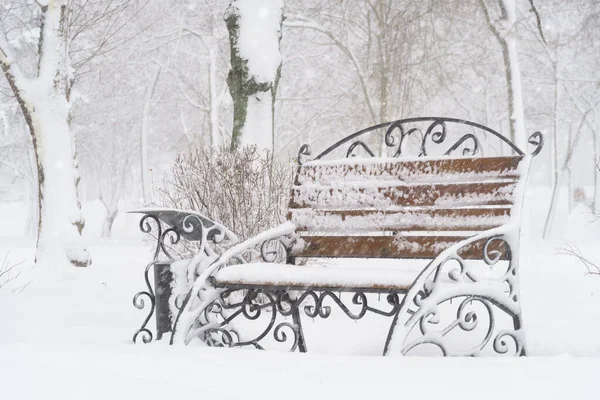 Winter City Park Benches Covered Snow Snowfall — Stock Photo, Image