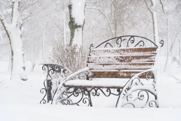 Parc Urbain Hiver Bancs Couverts Neige Chutes Neige — Photo