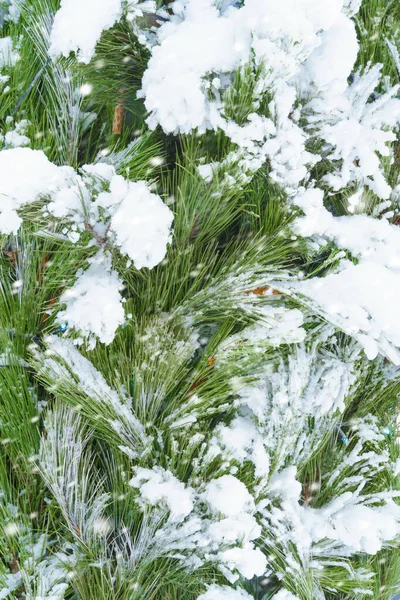 Noel Yeni Yıl Süslemeleri Sokakta Karla Kaplı Noel Ağacına Yakın — Stok fotoğraf