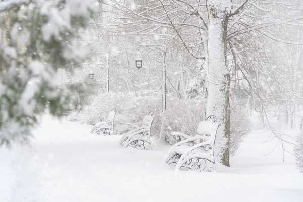 Zimní Městský Park Lavičky Pokryté Sněhem Sněhem — Stock fotografie