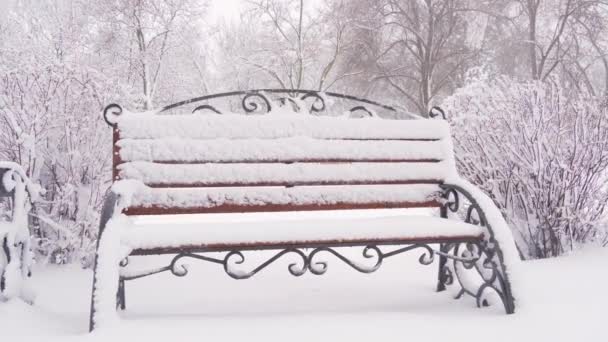 Parque Invierno Ciudad Bancos Cubiertos Nieve Nieve — Vídeo de stock