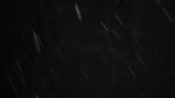 Real Falling Snow Black Background Winter Snowing Isolated Overlay — Stock Video