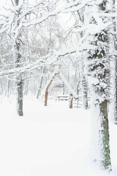 Χειμερινή Είσοδο Του Πάρκου Της Πόλης Δέντρα Και Κλαδιά Κοντά — Φωτογραφία Αρχείου