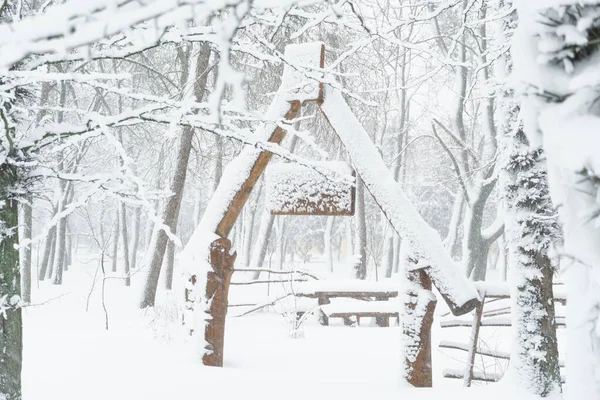 Zimní Městský Park Vchod Stromy Větve Detailní Záběr Sněhu Sněhové — Stock fotografie