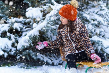 Kızakta oturan ve kış ormanlarında karla oynayan çocuk, parlak karlı köknar ağaçları, güzel doğa..