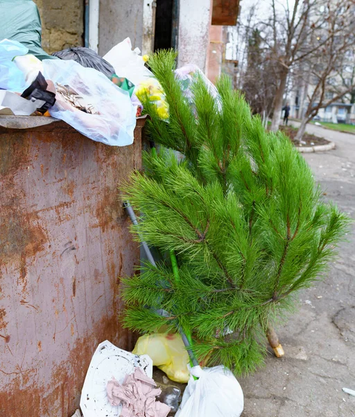 Ekoloji Konsepti Noel Ağacı Yeni Yıl Kutlamasından Sonra Çöplükte — Stok fotoğraf