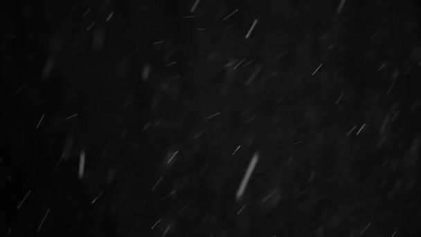 Real Falling Snow Black Background Winter Snowing Isolated Overlay — Stock Video