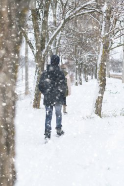 Kış ormanlarında genç portresi, erkek ve kız, güzel doğa ve parlak karlı köknar ağaçları.